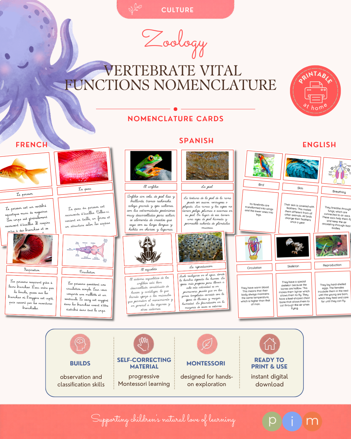 03. Vertebrate Vital Functions Nomenclature