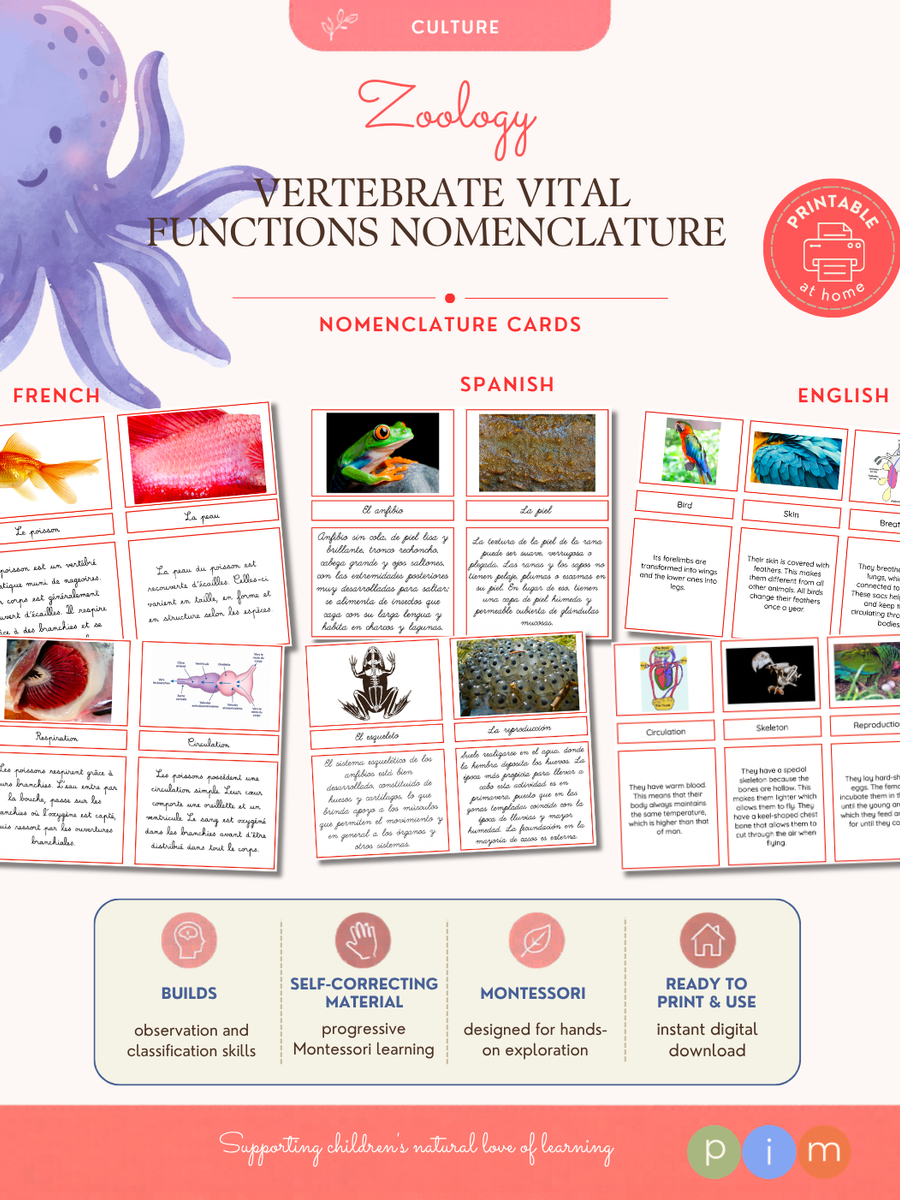 03. Vertebrate Vital Functions Nomenclature