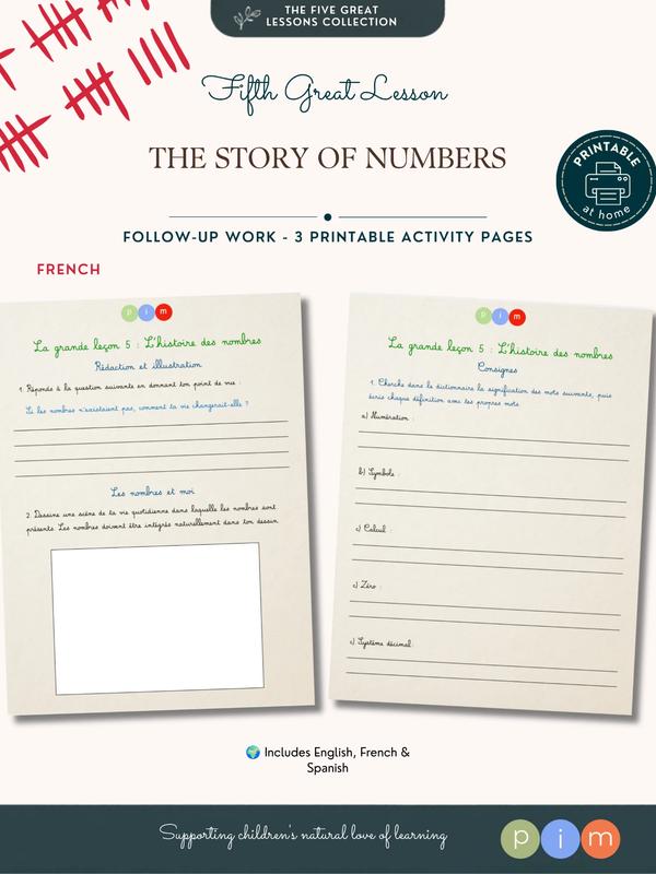 5. L'histoire des nombres