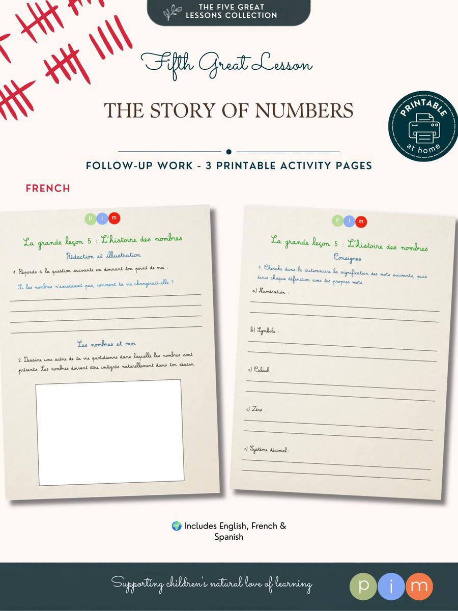 5. The Story of Numbers