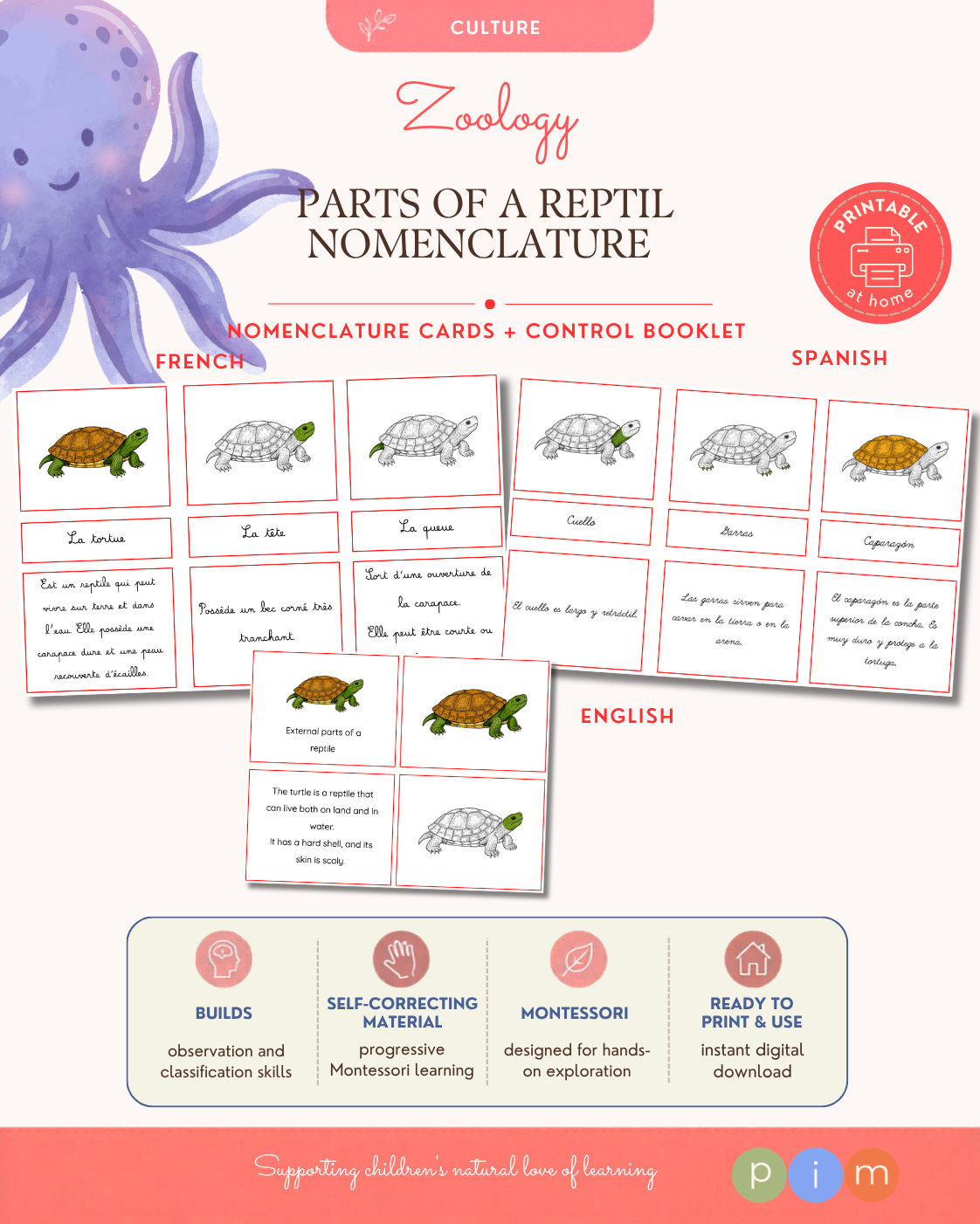 07. Reptile External Anatomy Nomenclature