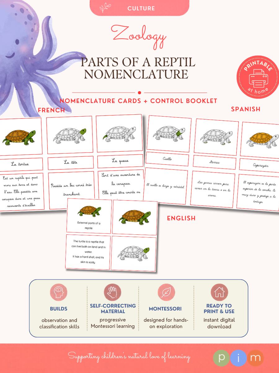 07. Reptile External Anatomy Nomenclature