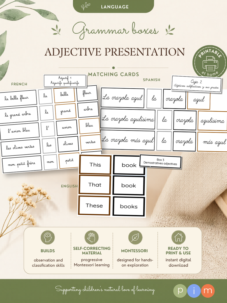 22. Boîtes grammaticales de l'adjectif (de 1 à 7)