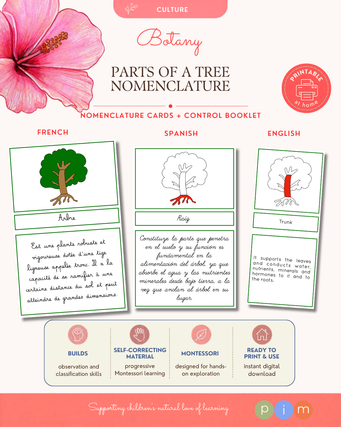06. Tree Nomenclature