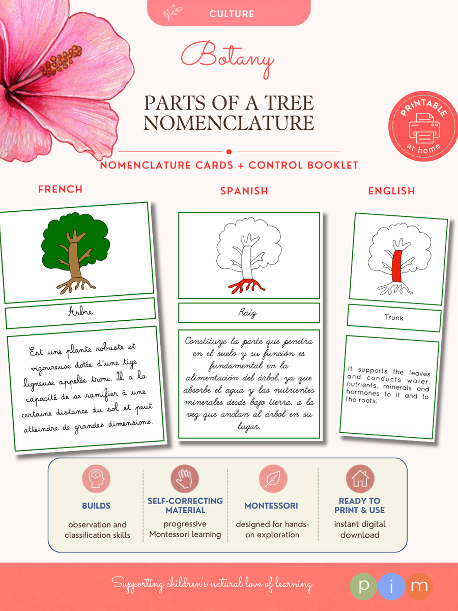 06. Tree Nomenclature