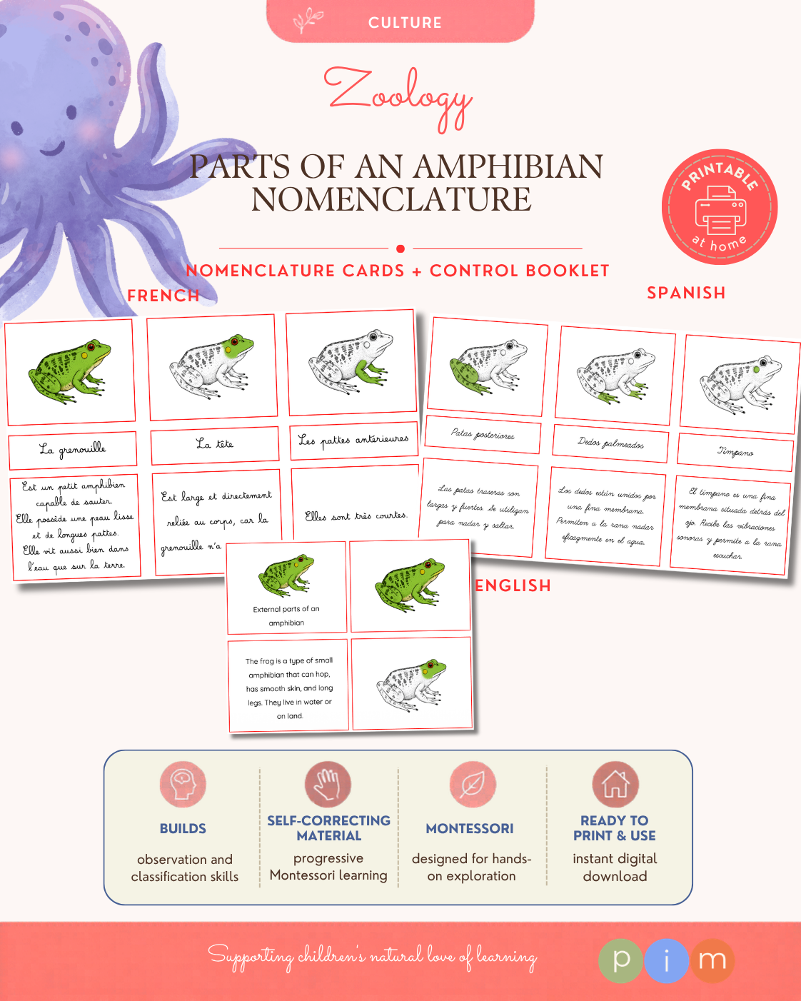 06. Amphibian External Anatomy Nomenclature