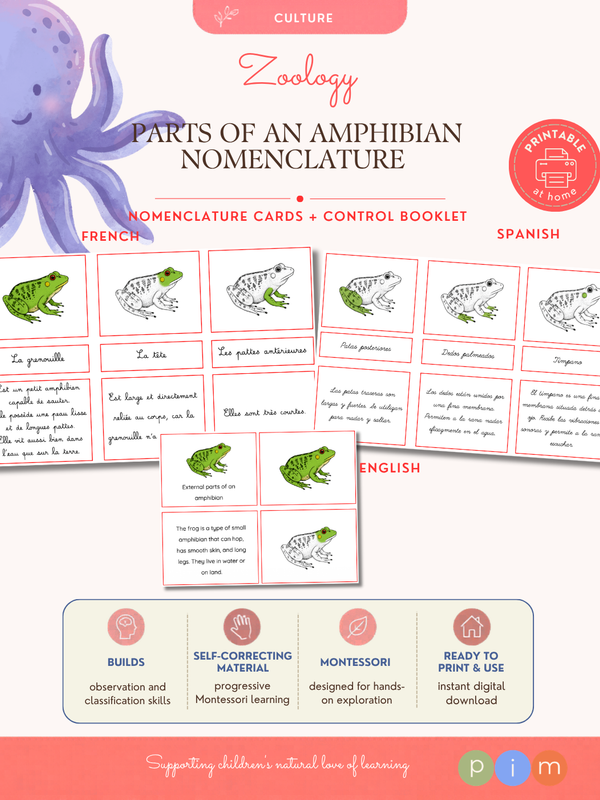06. Nomenclature · Parties Externes des Amphibiens