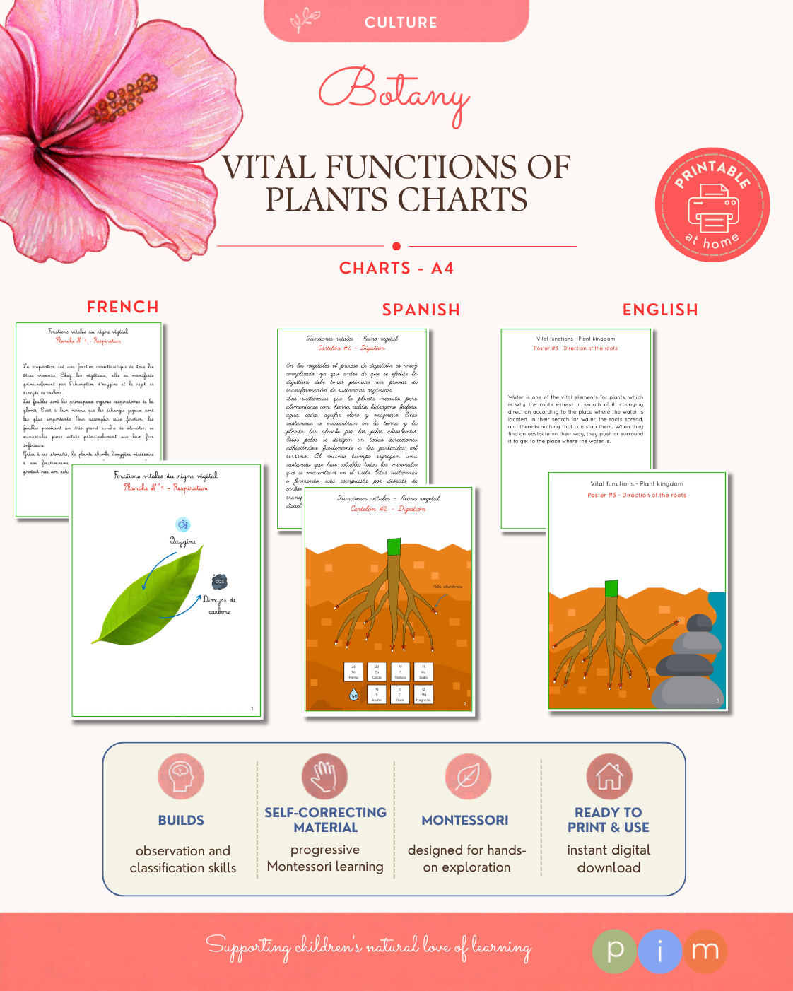 08. Cartelones de las Funciones Vitales del Reino Vegetal