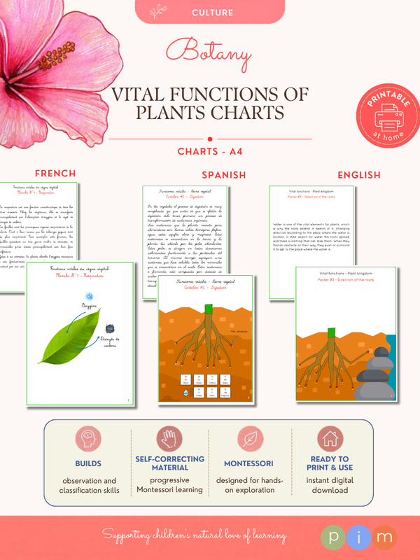 08. Affiches des Fonctions Vitales du Règne Végétal