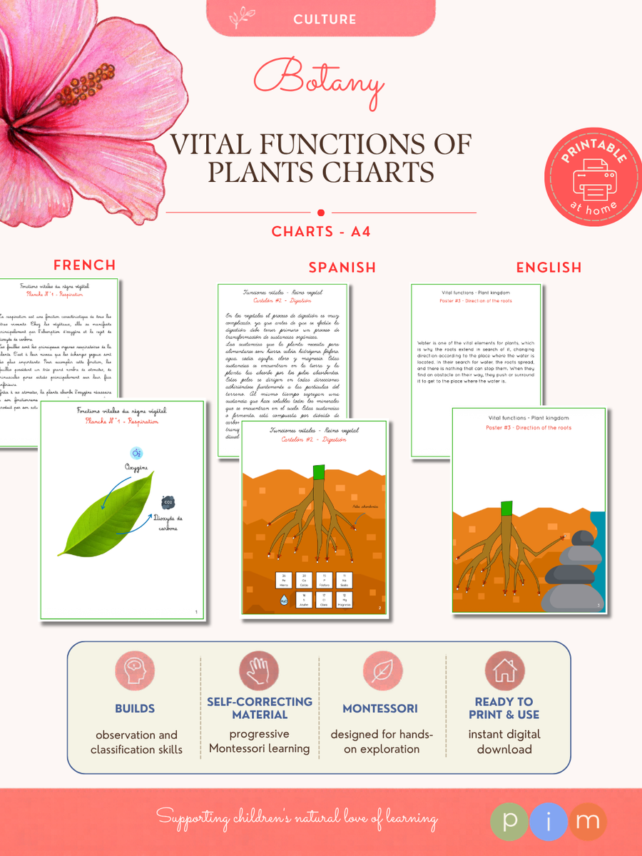 08. Plant Kingdom Vital Functions Charts