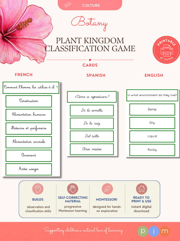 07. Jeu de Classification du Règne Végétal