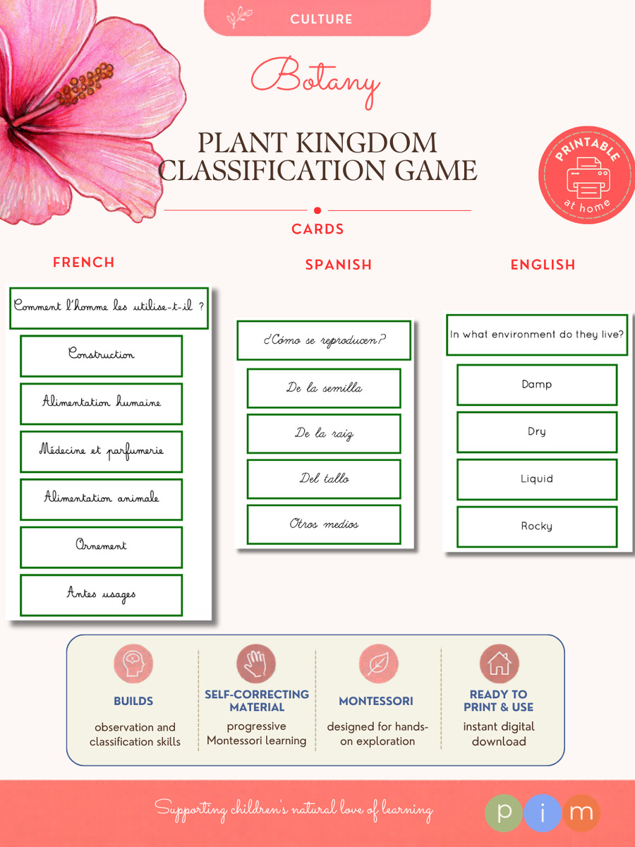 07. Jeu de Classification du Règne Végétal