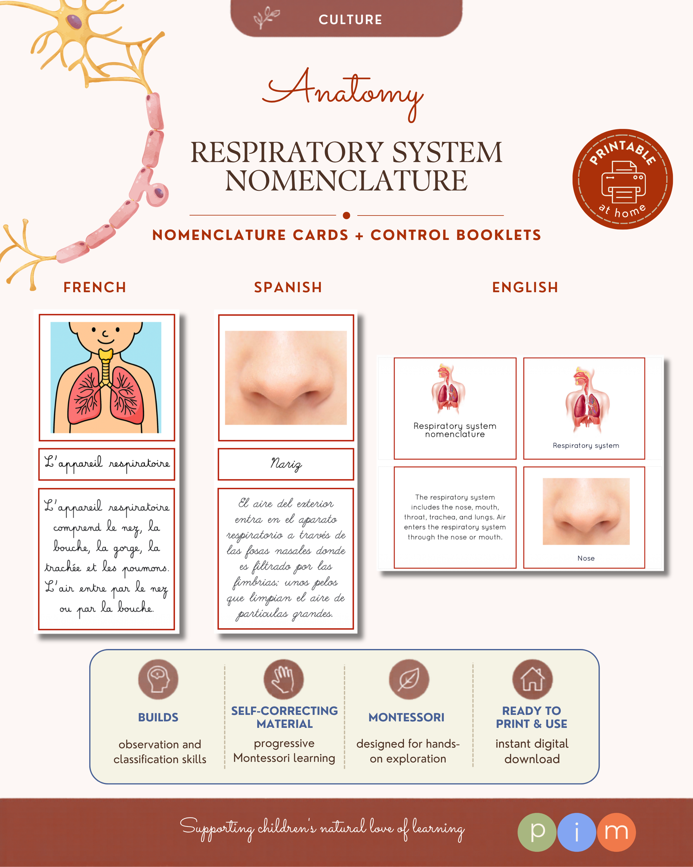 04. Respiratory System Nomenclature