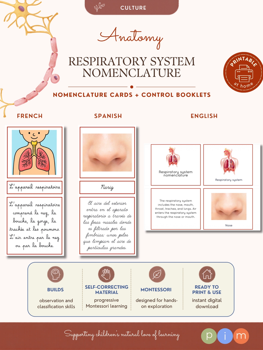 04. Respiratory System Nomenclature