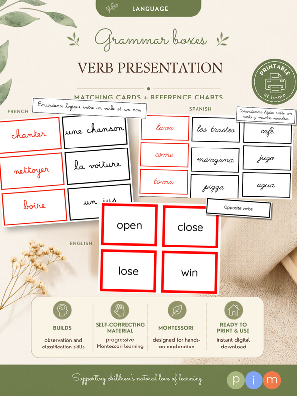 23. Étude et boîtes grammaticales du verbe