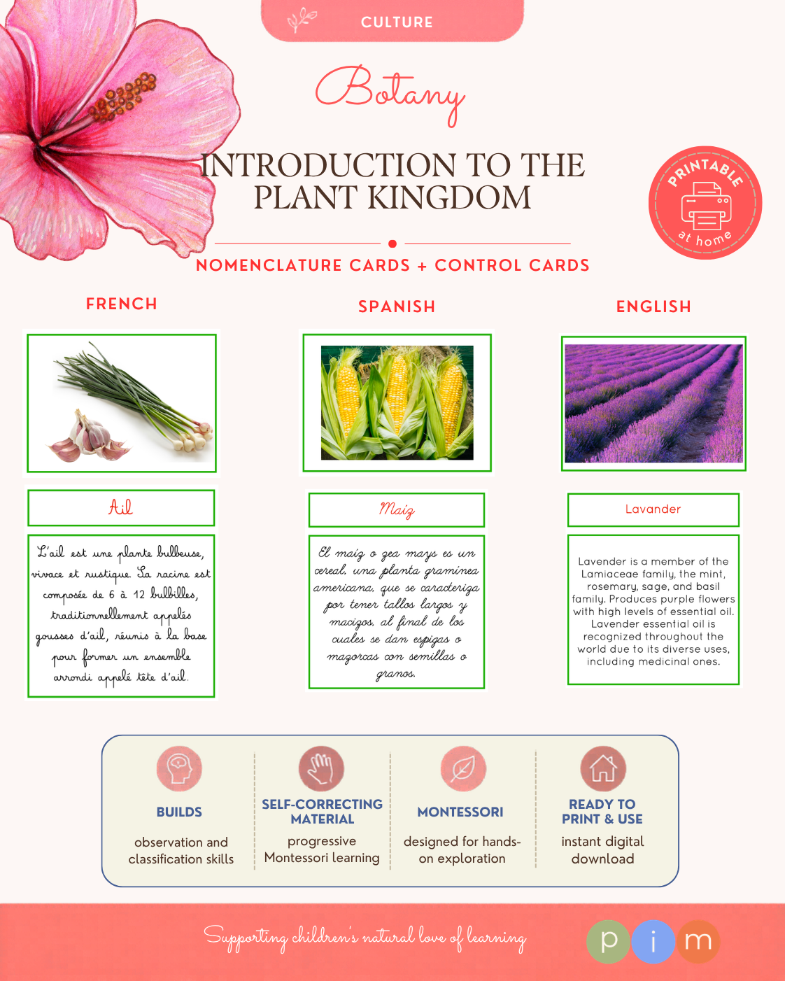 01. Primer conocimiento del Reino Vegetal