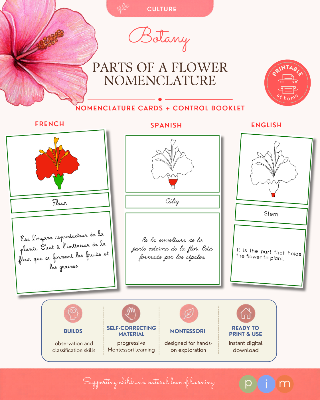 02. Nomenclatura de la Flor