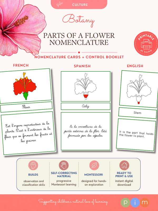 02. Nomenclature de la Fleur