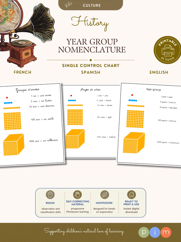 14. Nomenclature des groupes d'années