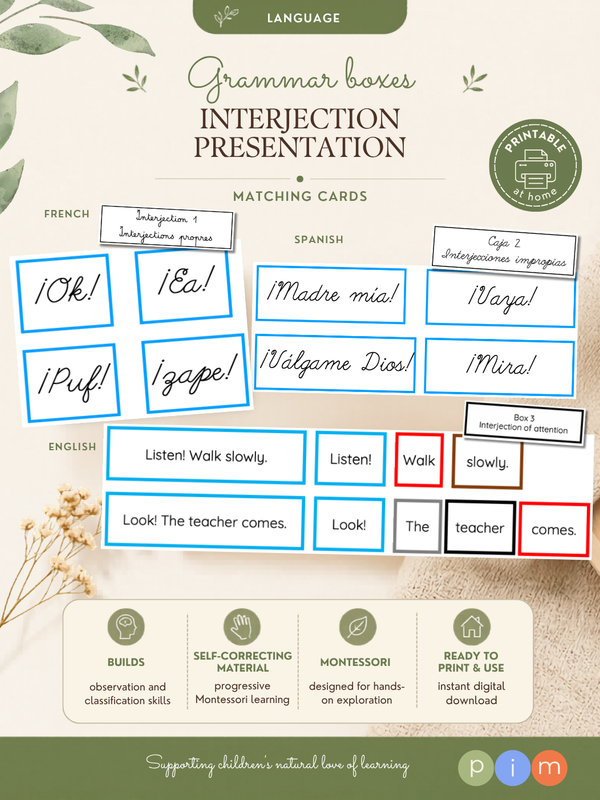 35. Boîtes grammaticales de l'interjection