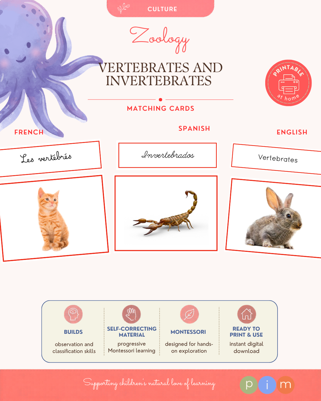 02. Vertebrates and Invertebrates