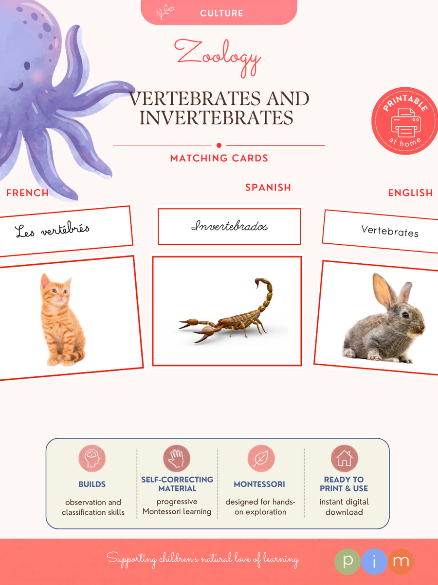 02. Vertebrates and Invertebrates