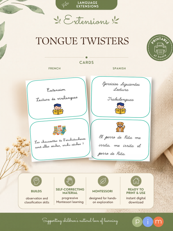 07. Extension - Lecture de virelangues .pdf