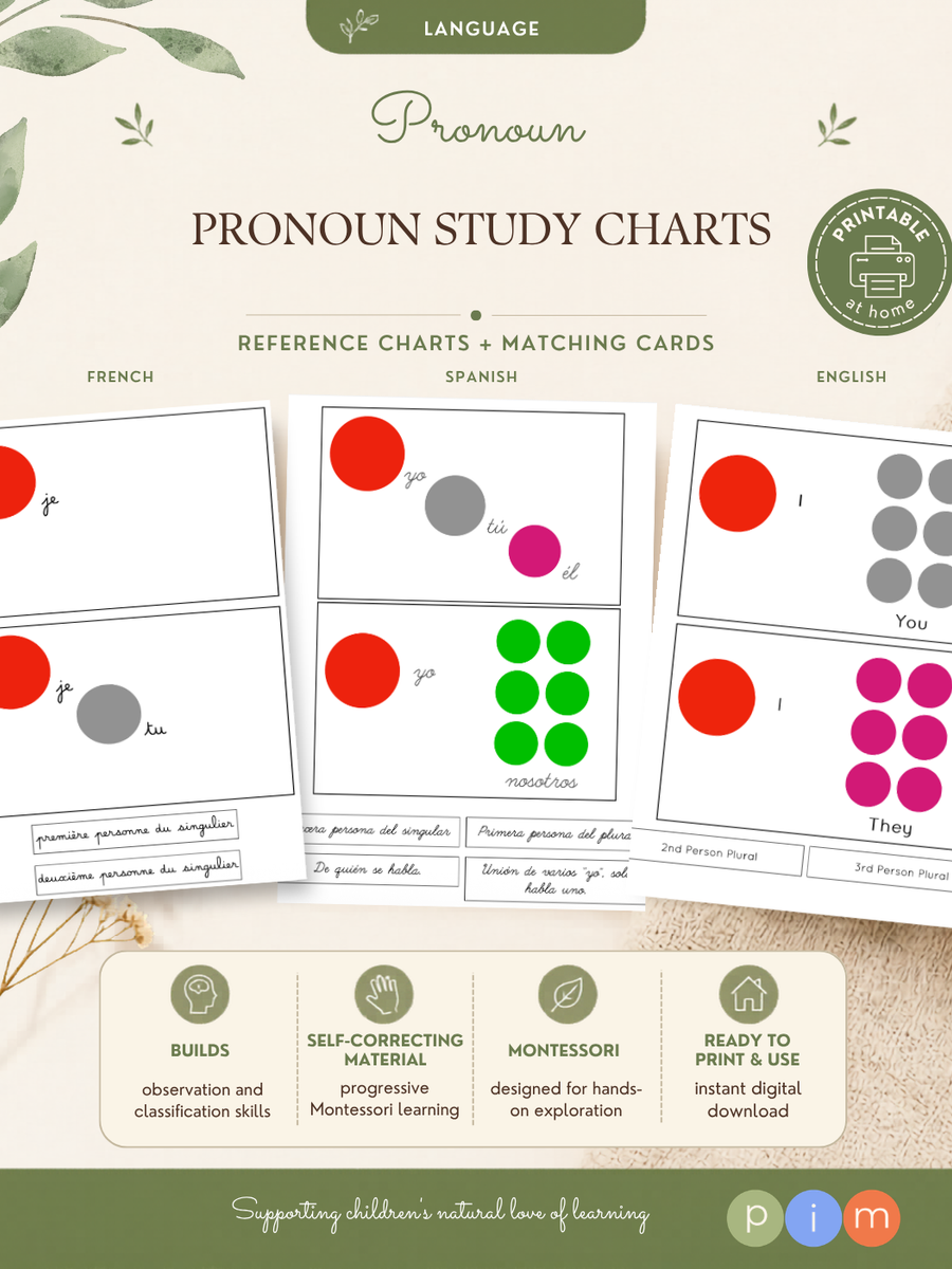 29. Boîtes grammaticales du pronom