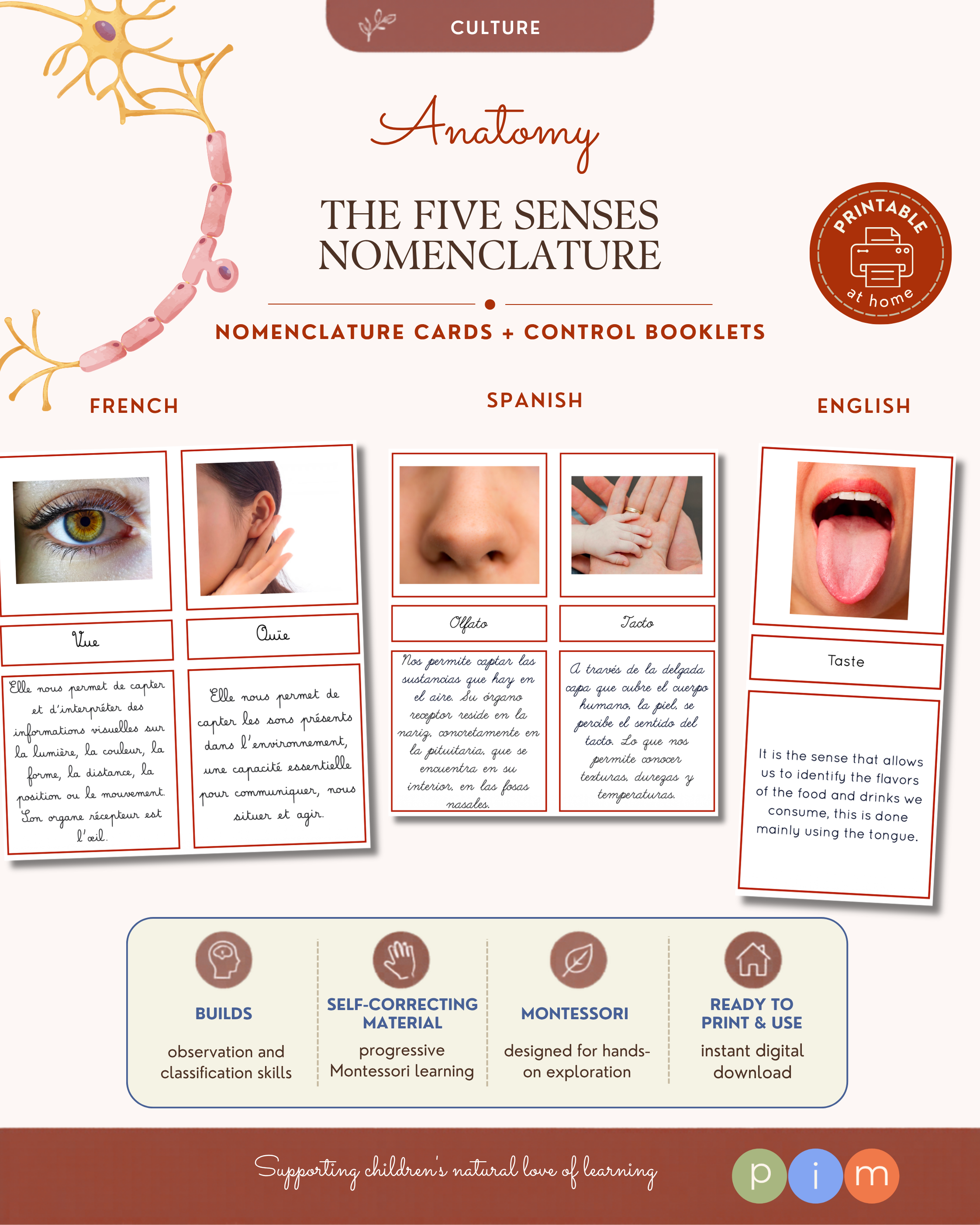 09. Five Senses Nomenclature