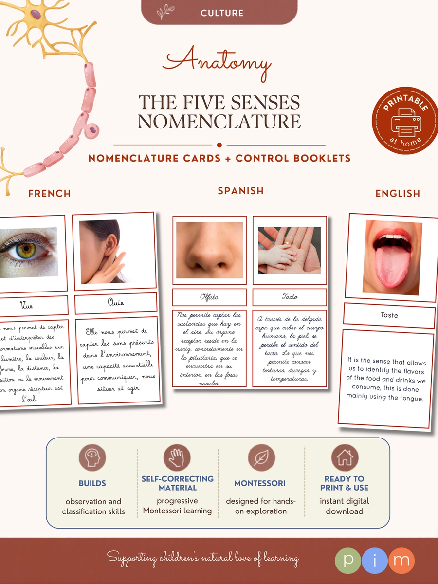 09. Five Senses Nomenclature