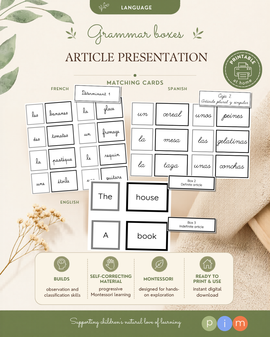 20. Boîtes grammaticales de l'article