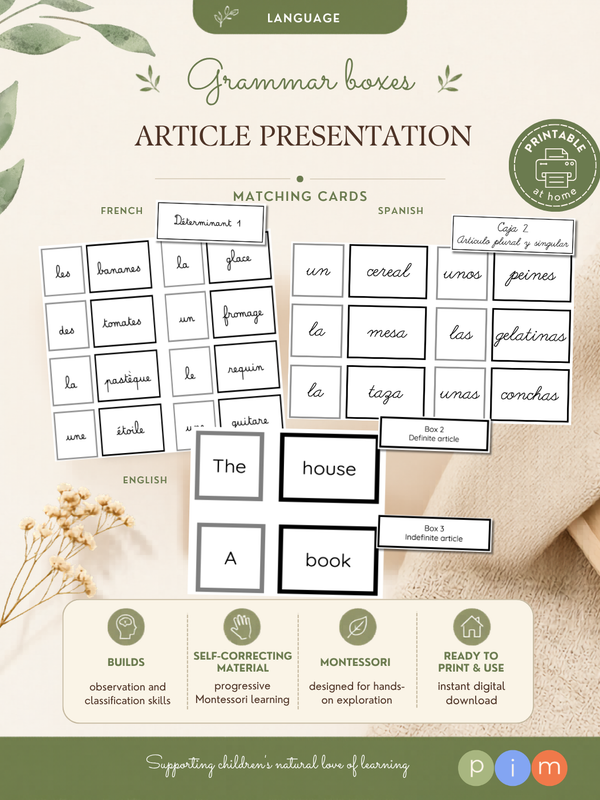 20. Boîtes grammaticales de l'article