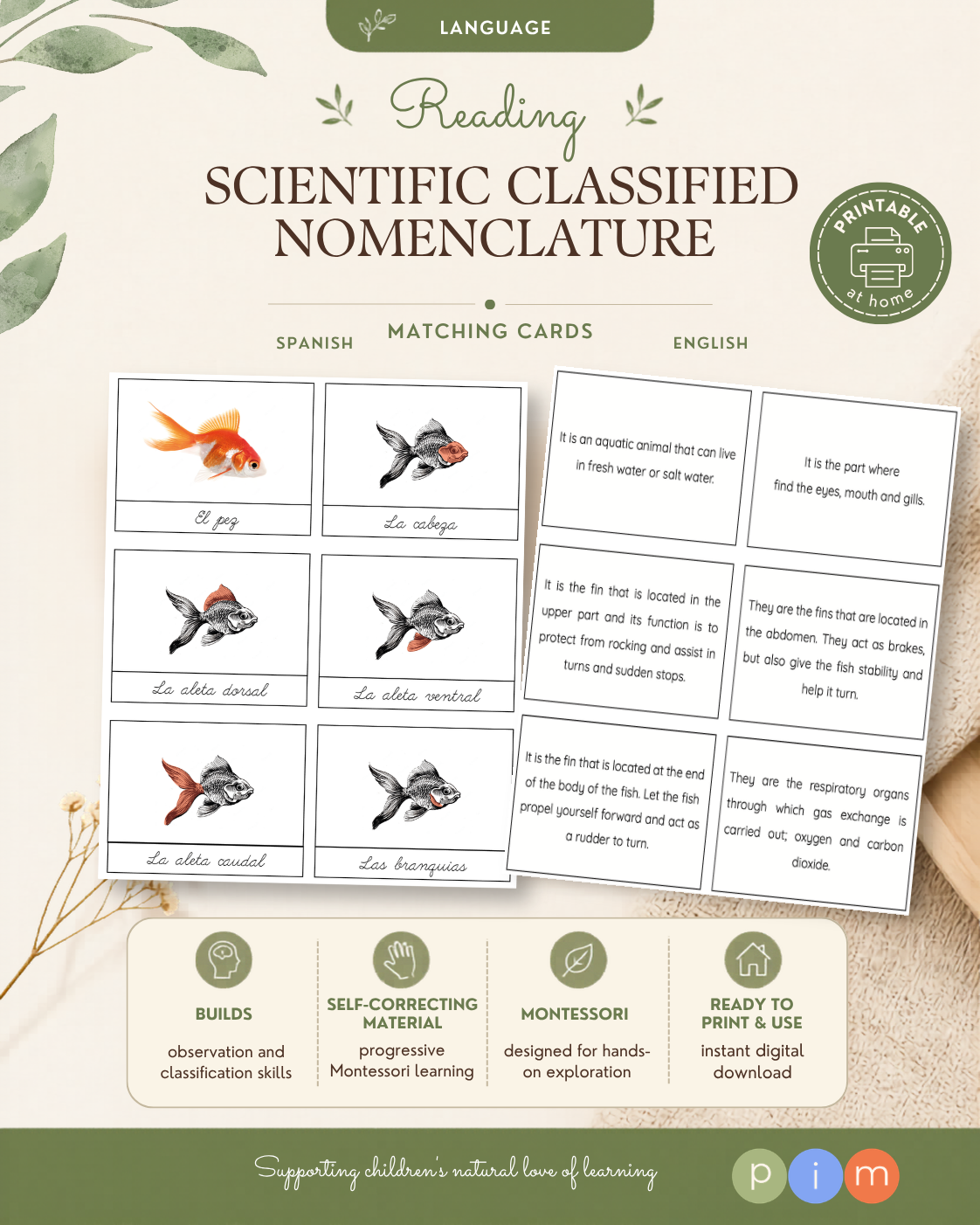 10. Nomenclature classifiée scientifique