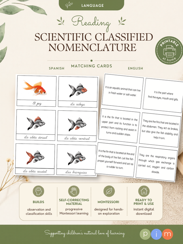 10. Nomenclature classifiée scientifique