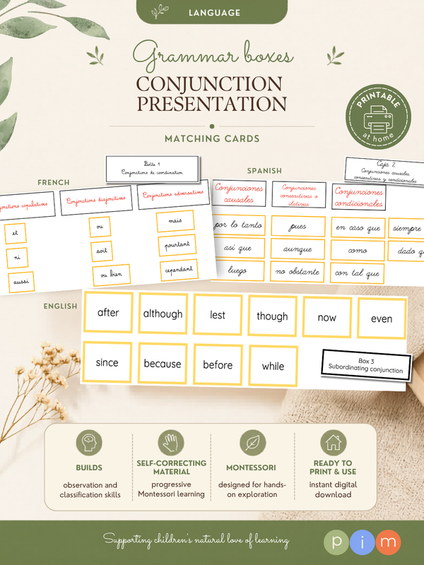 34. Boîtes grammaticales de la conjonction