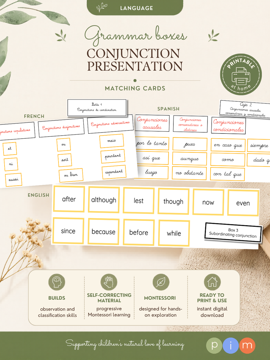 34. Boîtes grammaticales de la conjonction