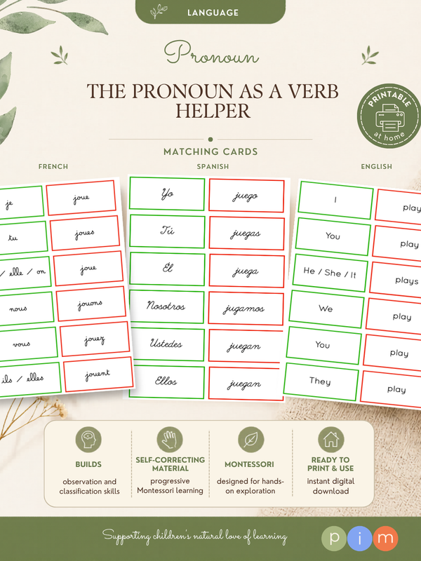 31. Le pronom comme auxiliaire du verbe