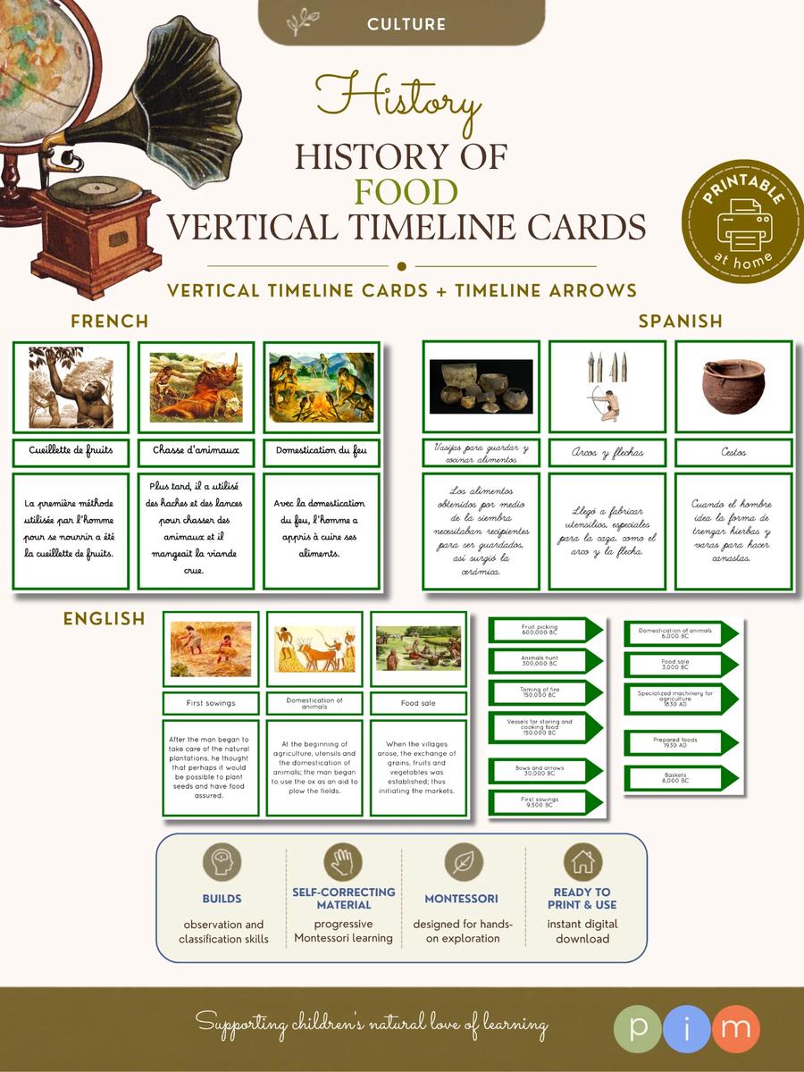 04. Histoire de l'alimentation – Cartes pour la Ligne verticale