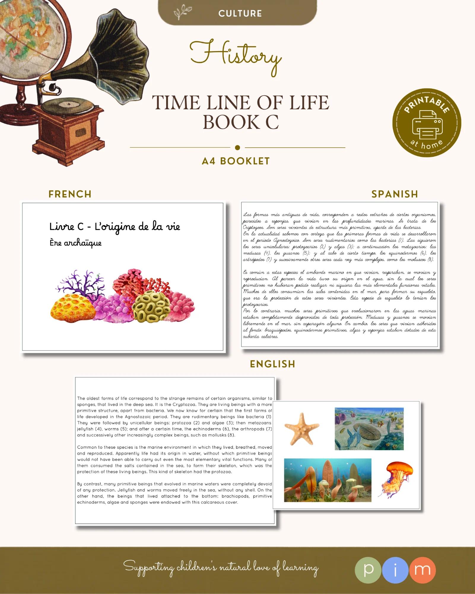 12. Line of Life Book - Archaic Era