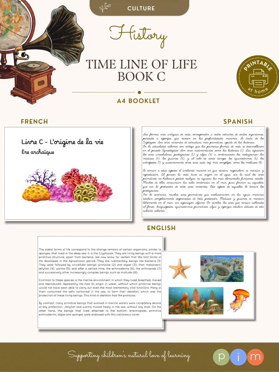 12. Line of Life Book - Archaic Era