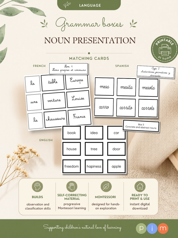 19. Boîtes grammaticales du nom