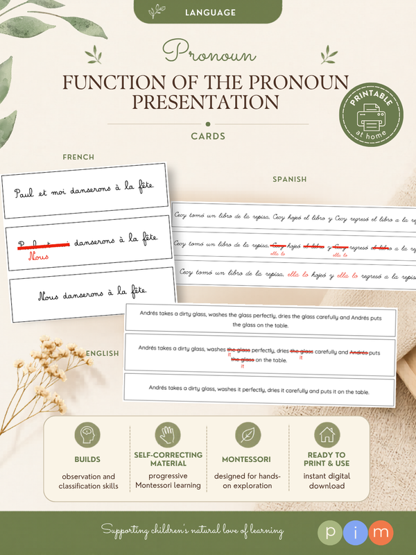 28. Fonction du pronom
