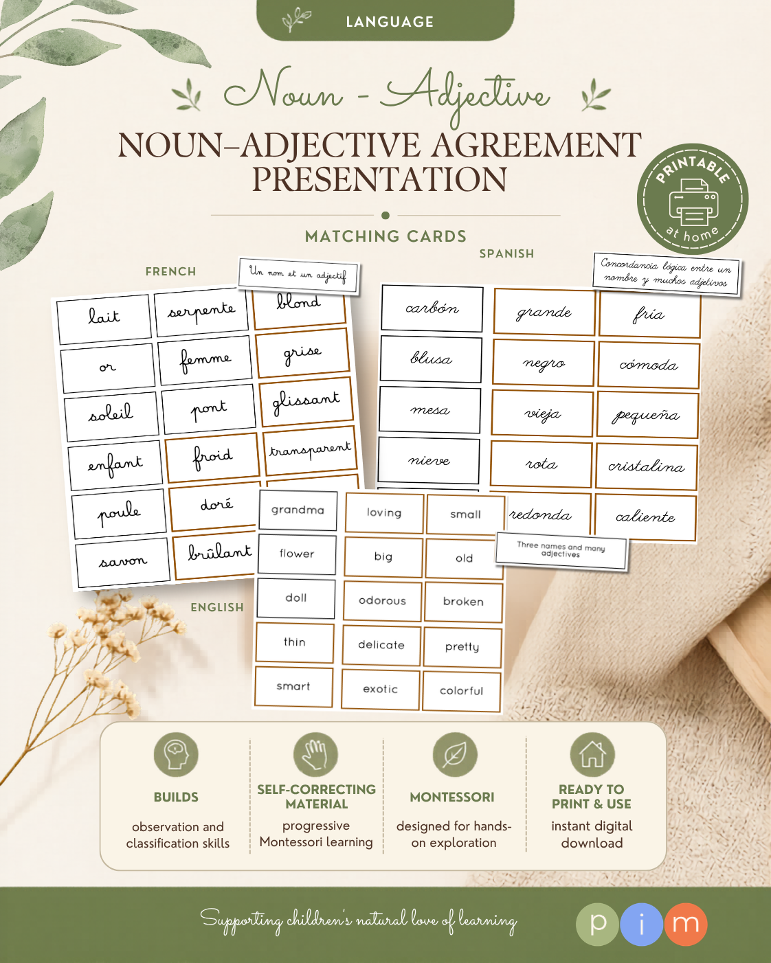 21. Accord logique entre nom et adjectif