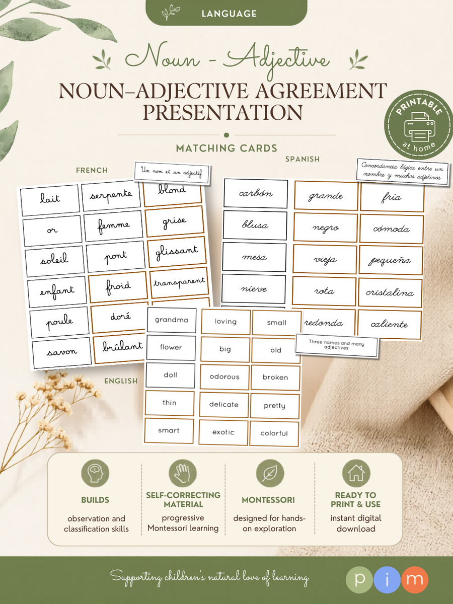 21. Accord logique entre nom et adjectif