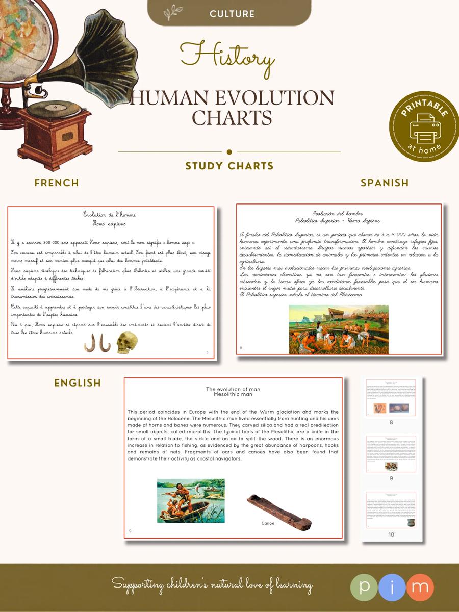 17. Evolución del Hombre - Tarjetas