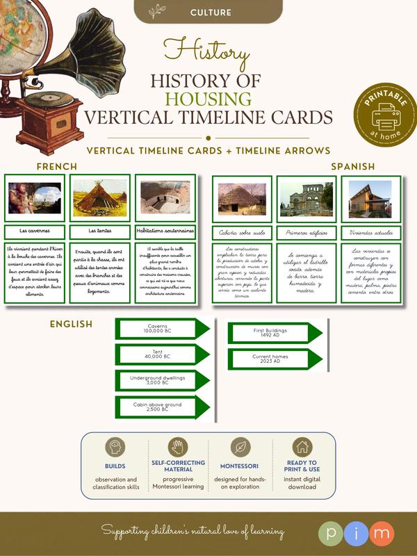 06. Histoire de l'habitation – Cartes pour la Ligne verticale