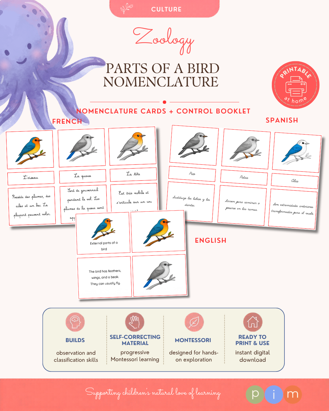 08. Nomenclature · Parties Externes des Oiseaux