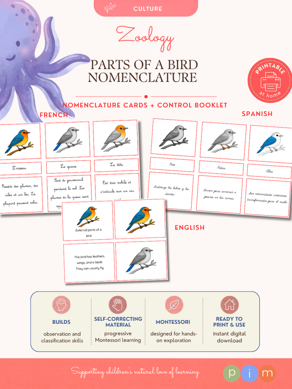 08. Nomenclature · Parties Externes des Oiseaux