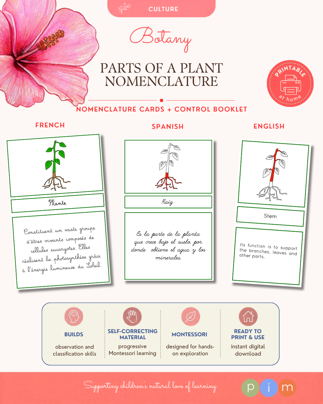 04. Nomenclatura de la Planta