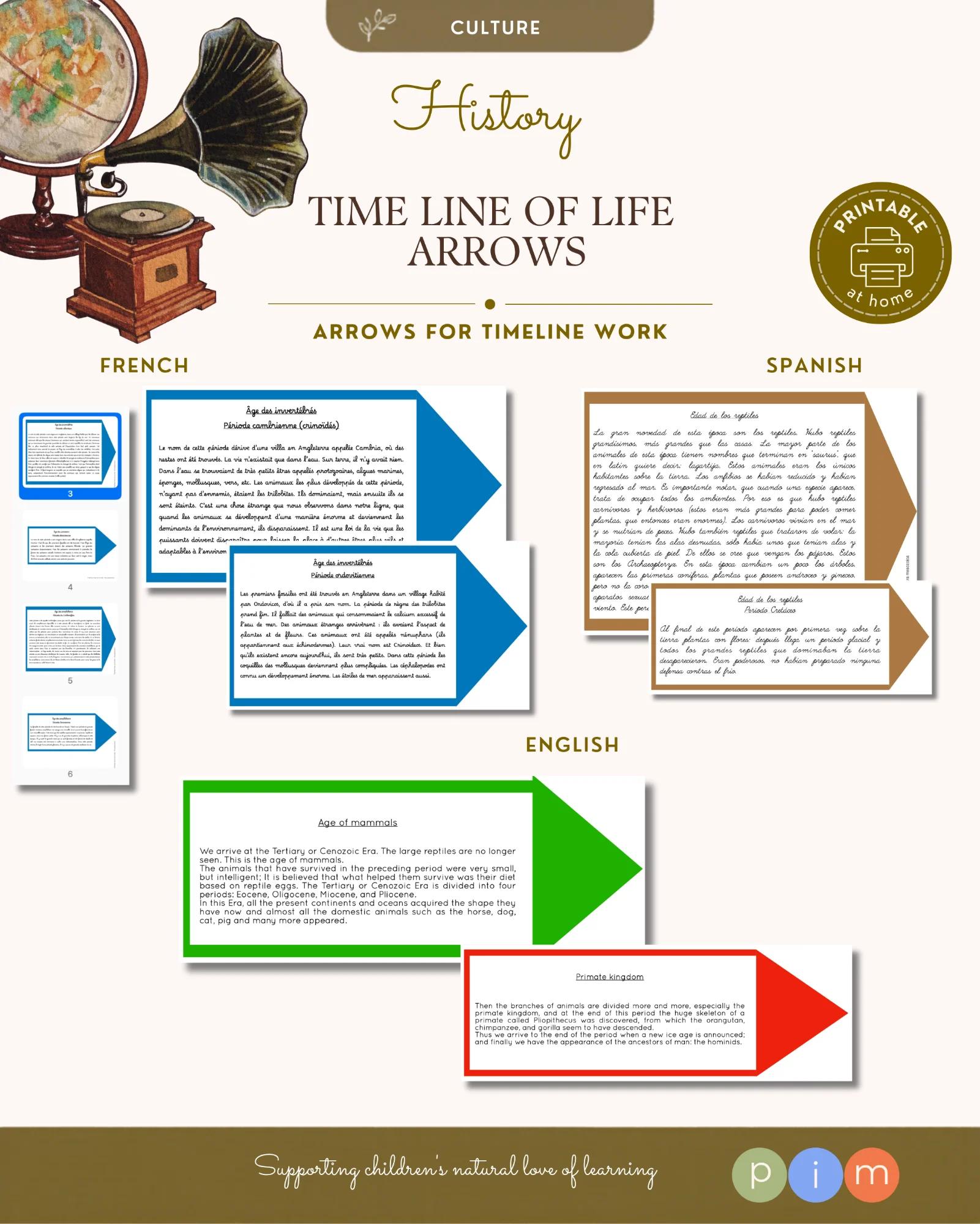 13. Arrows Life Line